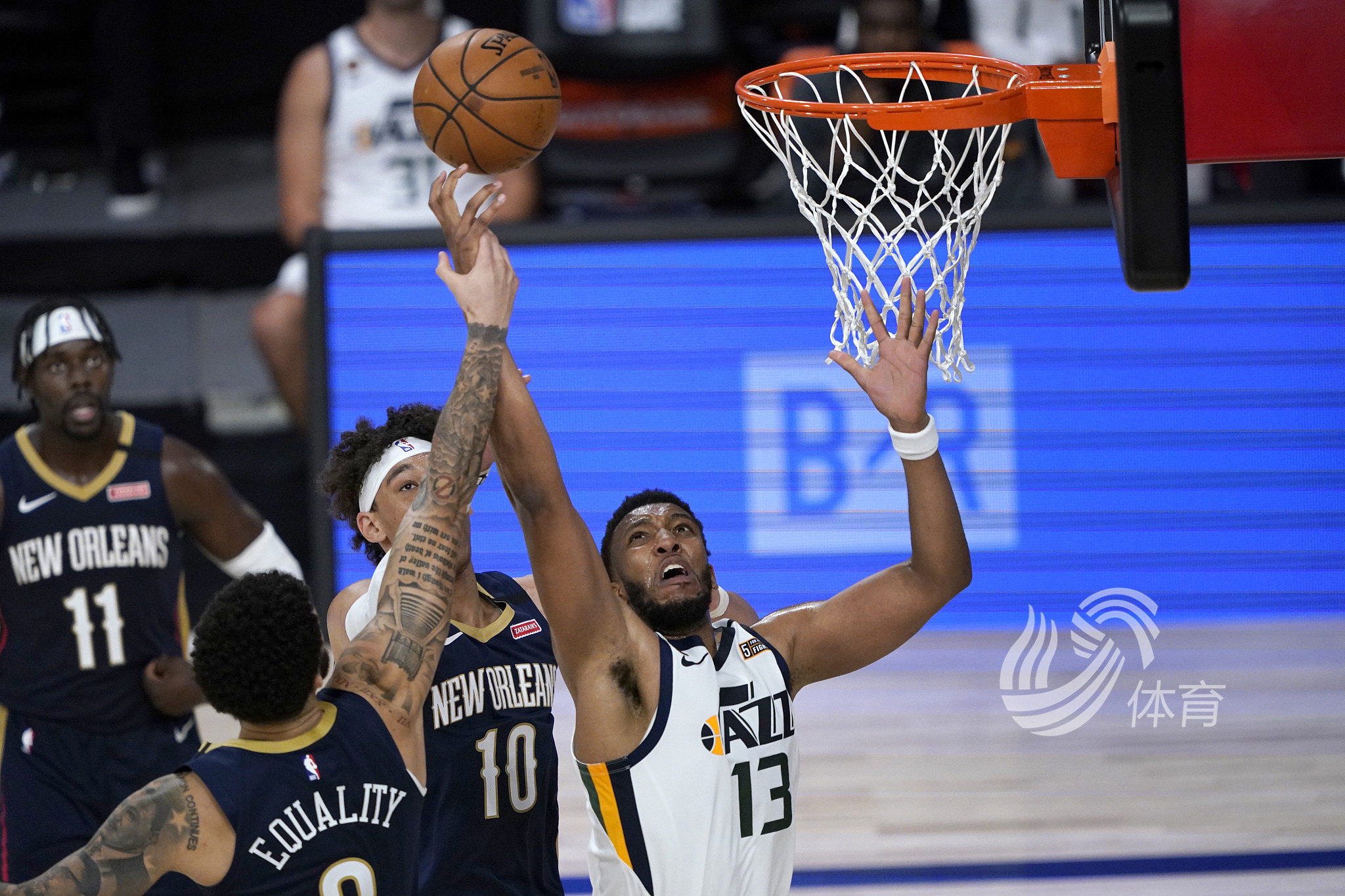 廷国家队的 廷国家队的