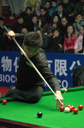 期内或许能 期内或许能